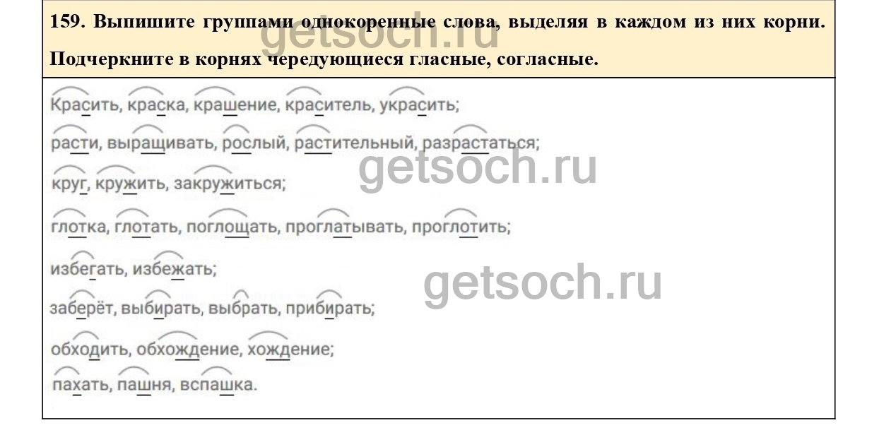 Упражнение 204- ГДЗ по Русскому языку 6 класс Учебник Ладыженская. Часть 1  - Getsoch